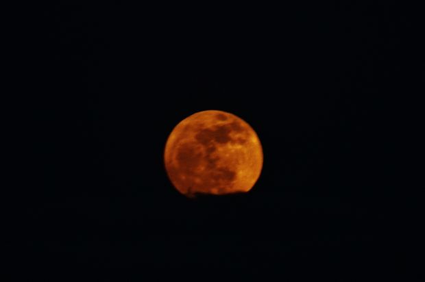 Moon